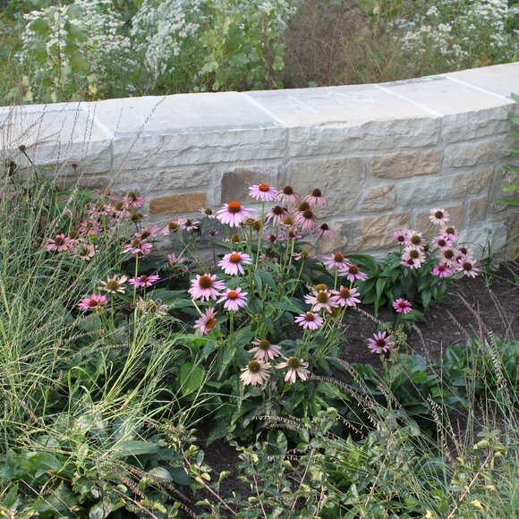 Meet your Posher, Mel - Picture 1 of 1